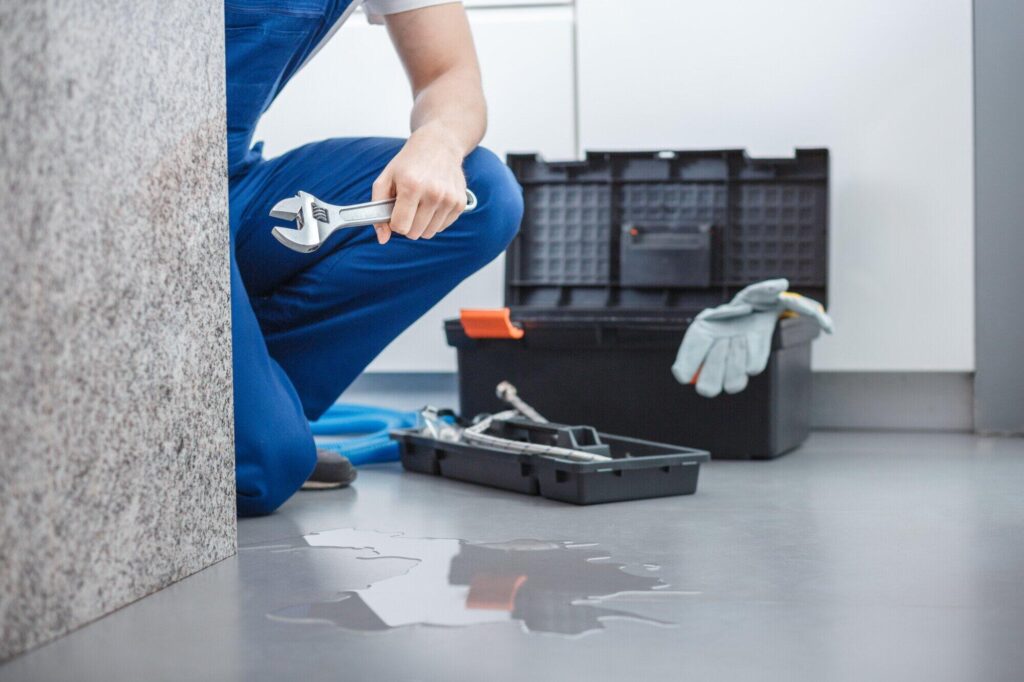 plumber-performing-sump-pump-maintenance