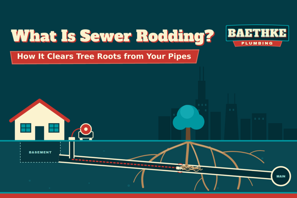 What is sewer rodding? How it clears tree roots from your pipes, shown with a rodding cable cutting roots in a sewer line